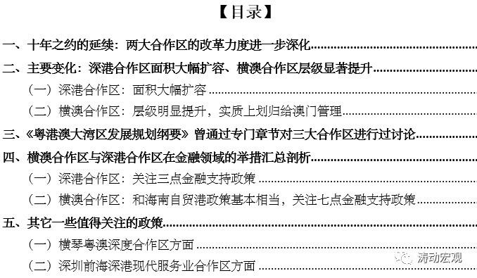 新澳2025年精准正版资料详细解答、解释与落实